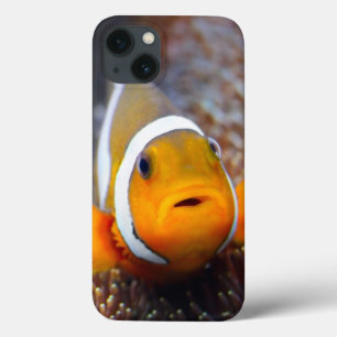 Tropische Rifffische - Clownfish Case-Mate iPhone Hülle