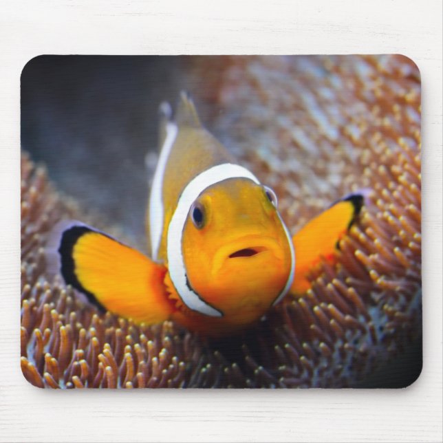 Tropische Rifffische - Clownfish Mousepad (Vorne)