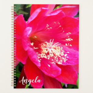 Tropische rosa Blütenfotografie Planer