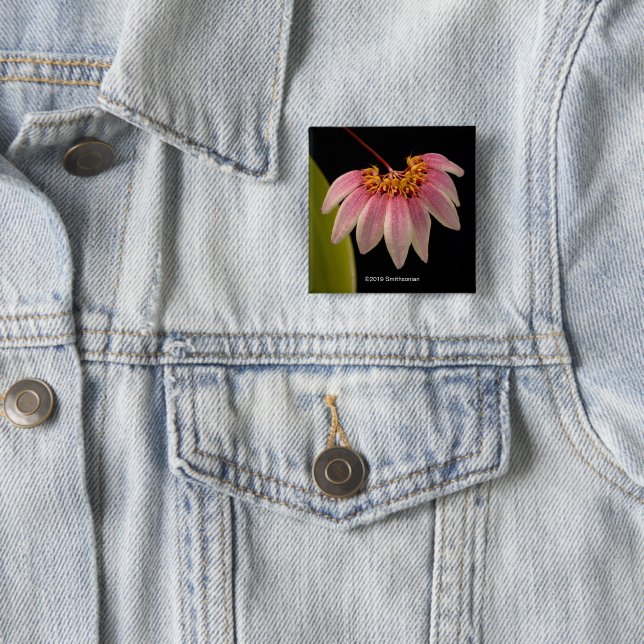 Tropische rosa Orchidee Button (Beispiel)