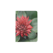 - tropische rote Blume