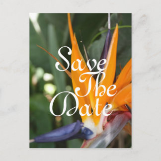 Tropische Save the Date Postkarten