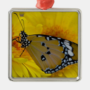 Tropische Schmetterlinge Ornament Aus Metall