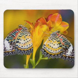 Tropische Schmetterlingszwillinge Mousepad