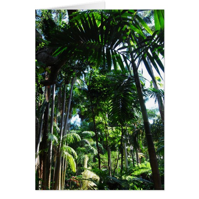 Tropische Schönheit (Vorne)