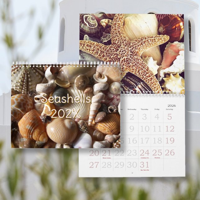 Tropische Seashell-Fotografie mit individueller Gr Kalender (Von Creator hochgeladen)