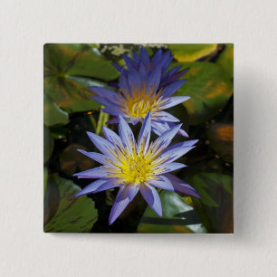 Tropische Seerosen Florale Botanische Gestaltung Button