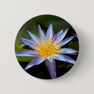 Tropische Seerosen Florale Botanische Gestaltung Button