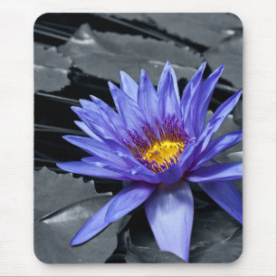 Tropische Seerosen Florale Botanische Gestaltung Mousepad