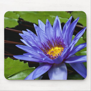 Tropische Seerosen Florale Botanische Gestaltung Mousepad