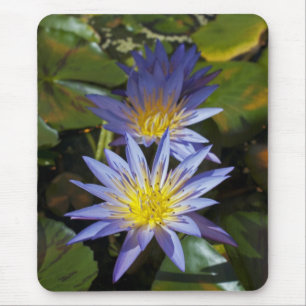 Tropische Seerosen Florale Botanische Gestaltung Mousepad