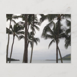Tropische Sicht auf Kauai Postkarte