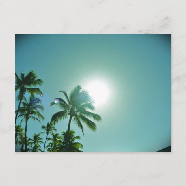 Tropische Sonne Postkarte (Vorderseite)