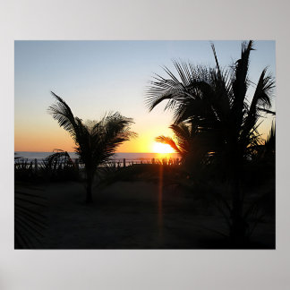 Tropische Sonnenuntergang-Silhouette Poster