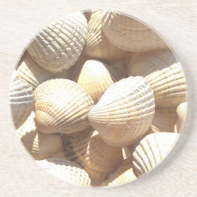 Tropische sonnige exotische Muscheln Sandstein Untersetzer (Vorne)