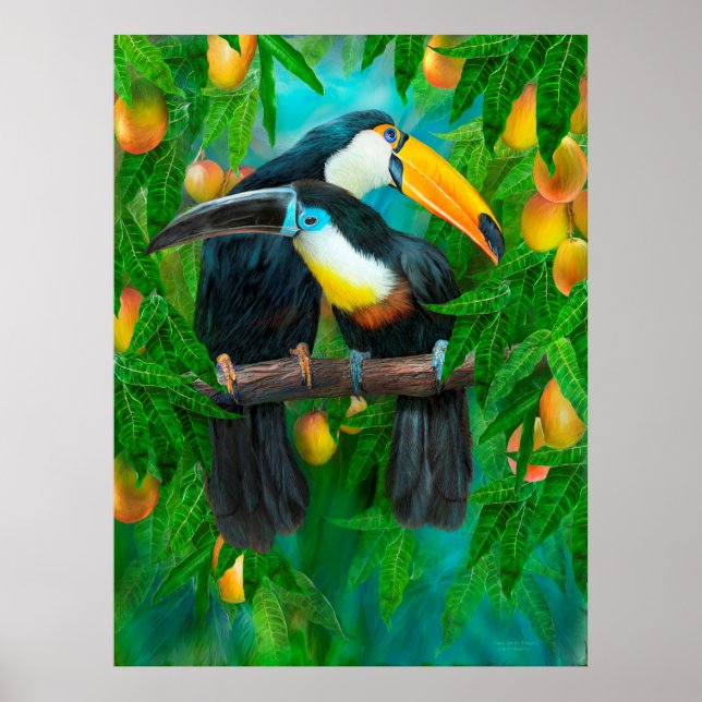 Tropische Spirituosen - Toucans Fine Art Poster/Pr Poster (Vorne)