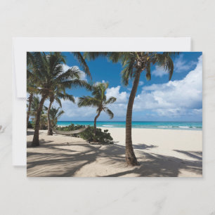 Tropische Strände   Anguilla Beach, Palm Tree Dankeskarte