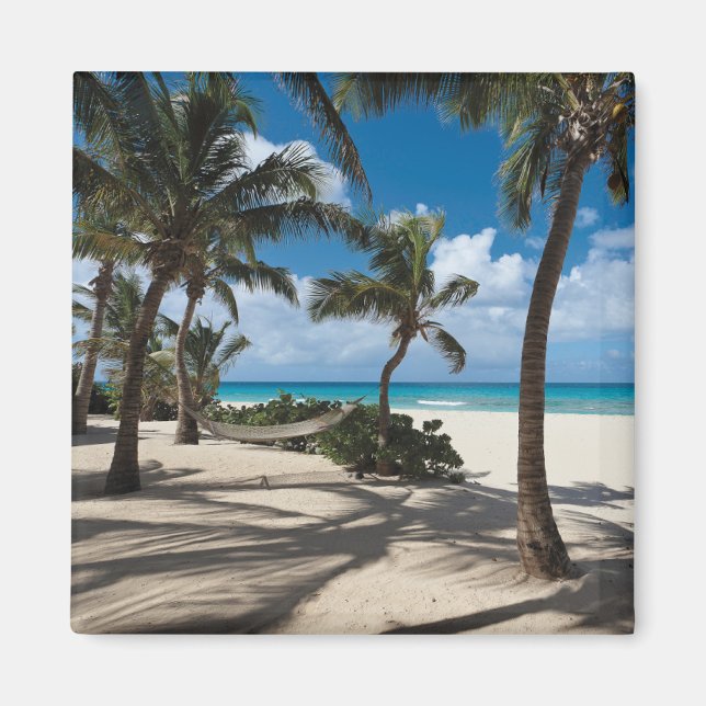 Tropische Strände | Anguilla Beach, Palm Tree Magnet (Vorne)