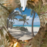 Tropische Strände | Anguilla Beach, Palm Tree Ornament<br><div class="desc">Dieses phantastische Getty Images Foto bietet die besten Strände von Anguilla.</div>