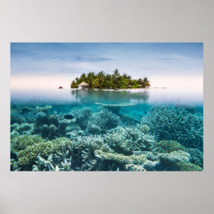 Tropische Strände Ari Atoll Maldives Poster