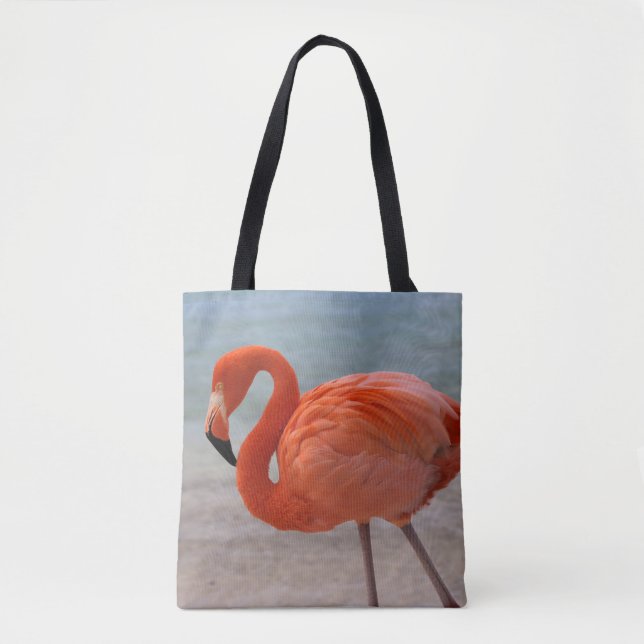 Tropische Strände | Caribbean Flamingo, Aruba (Vorderseite)