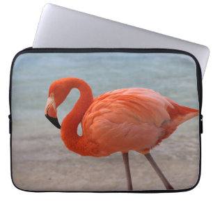 Tropische Strände   Caribbean Flamingo, Aruba Laptopschutzhülle