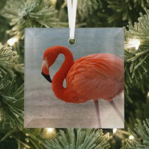 Tropische Strände Caribbean Flamingo, Aruba Ornament Aus Glas
