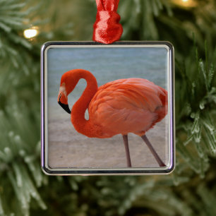 Tropische Strände   Caribbean Flamingo, Aruba Ornament Aus Metall