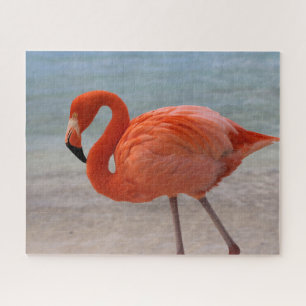 Tropische Strände   Caribbean Flamingo, Aruba Puzzle