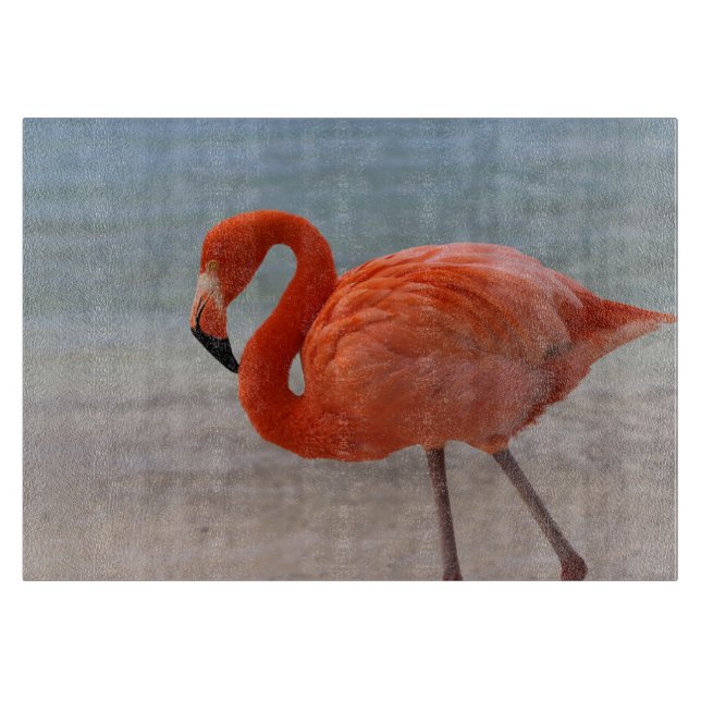 Tropische Strände | Caribbean Flamingo, Aruba Schneidebrett (Vorderseite)