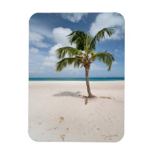 Tropische Strände   Eagle Beach, Aruba Magnet