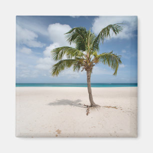 Tropische Strände Eagle Beach, Aruba Magnet