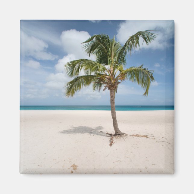 Tropische Strände | Eagle Beach, Aruba Magnet (Vorne)