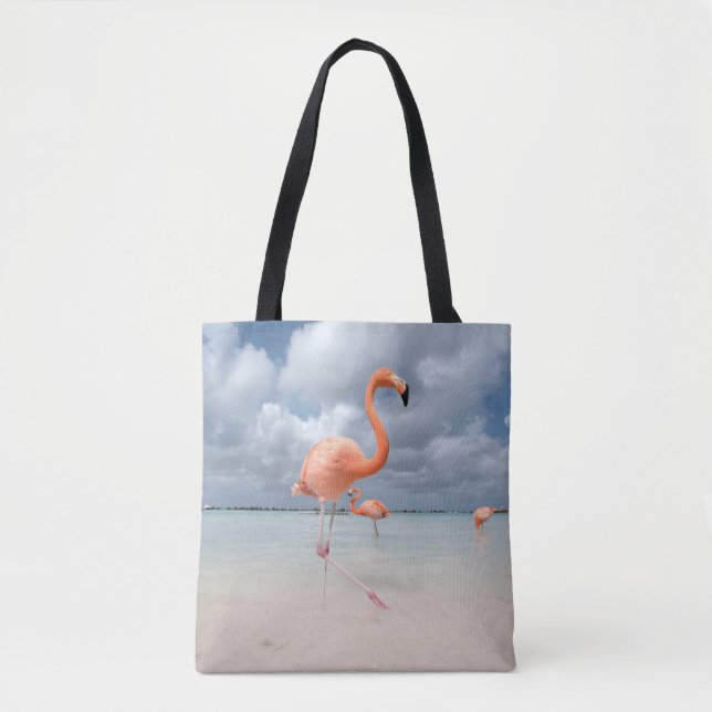 Tropische Strände | Flamingos Beach, Aruba (Vorderseite)