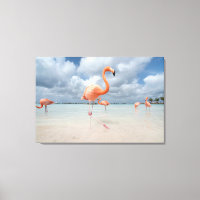 Tropische Strände | Flamingos Beach, Aruba