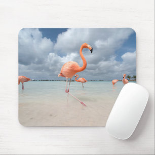 Tropische Strände Flamingos Beach, Aruba Mousepad