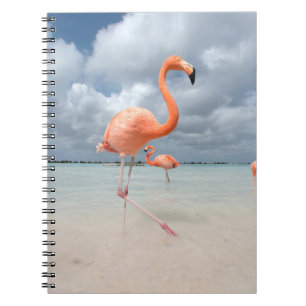 Tropische Strände Flamingos Beach, Aruba Notizblock