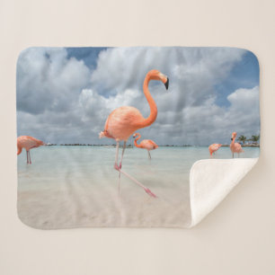Tropische Strände Flamingos Beach, Aruba Sherpadecke