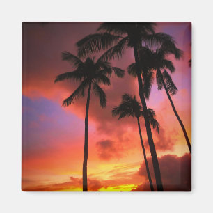 Tropische Strände   Maui Hawaii Magnet