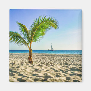 Tropische Strände   Segelboot, Palm Tree, Aruba Magnet
