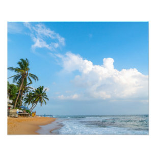 Tropische Strandküste und Palmen Ozeanblick Fotodruck