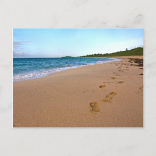 tropische Strandlandschaft Postkarte