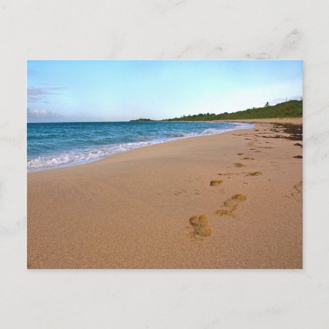 tropische Strandlandschaft Postkarte (Vorderseite)