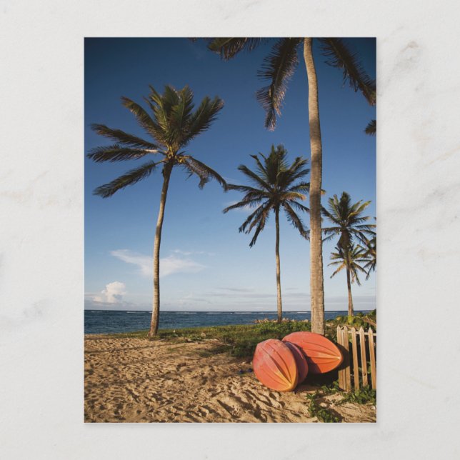 tropische Strandlandschaft Postkarte (Vorderseite)