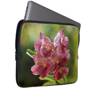 Tropische Vanda-Orchideen-Gruppe Laptopschutzhülle
