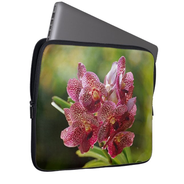 Tropische Vanda-Orchideen-Gruppe Laptopschutzhülle (Vorne Rechts)