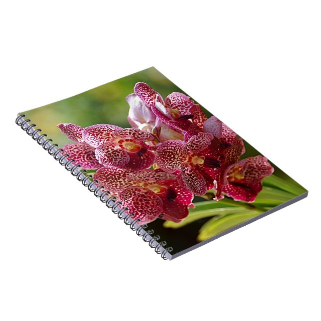 Tropische Vanda-Orchideen-Gruppe Notizblock (Rechte Seite)