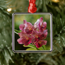 Tropische Vanda-Orchideen-Gruppe Ornament Aus Metall