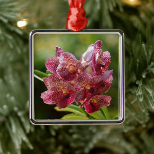 Tropische Vanda-Orchideen-Gruppe Ornament Aus Metall
