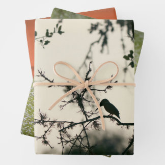 Tropische Vögel Geschenkpapier Set